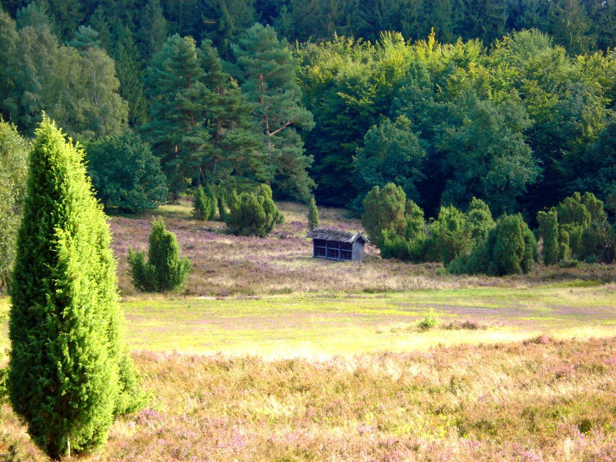 Landgasthaus Zum Naturschutzpark Bispingen Buitenkant foto