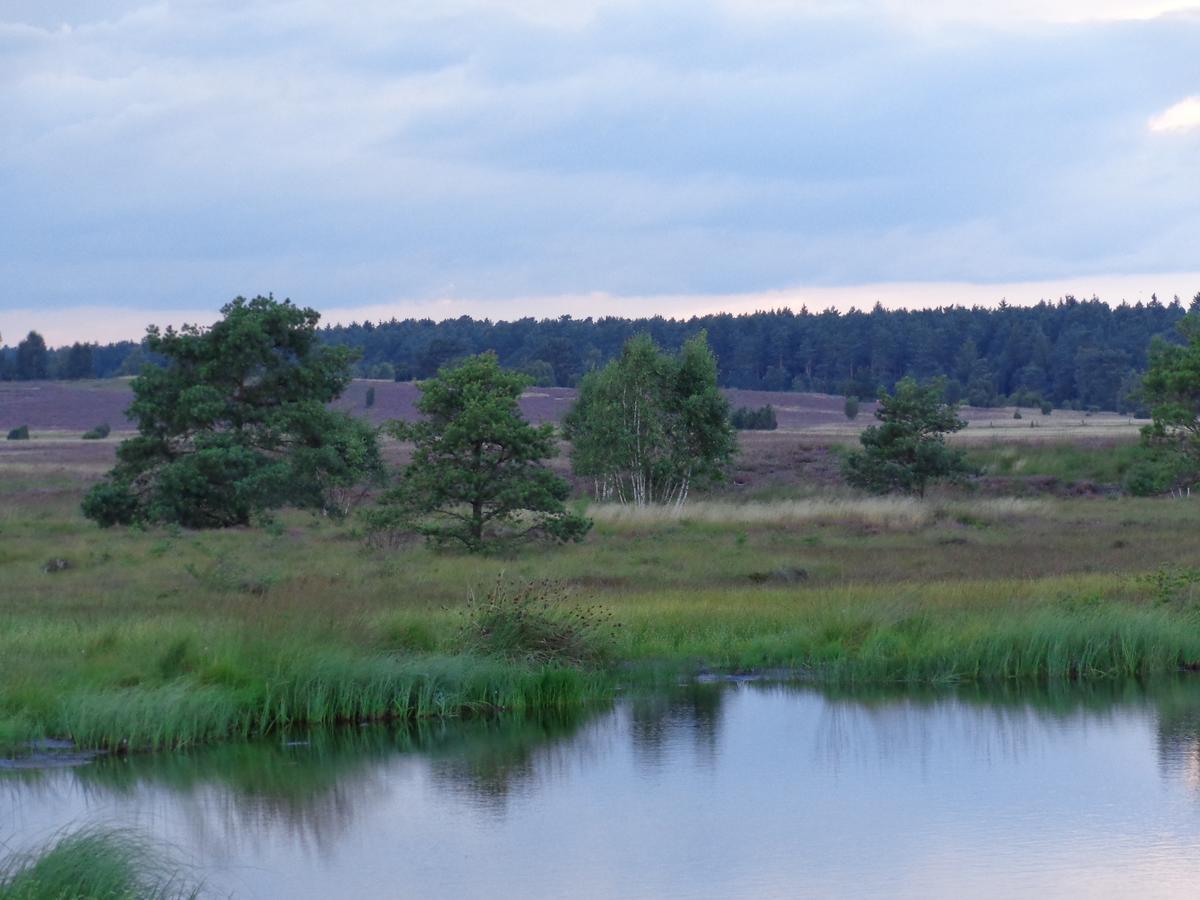 Landgasthaus Zum Naturschutzpark Bispingen Buitenkant foto