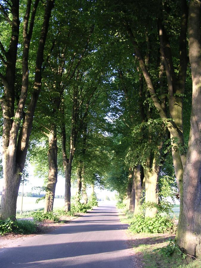 Landgasthaus Zum Naturschutzpark Bispingen Buitenkant foto